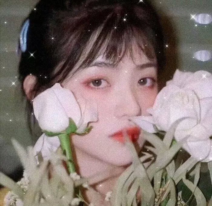 蓝鹭